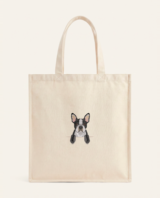 Boston terrier