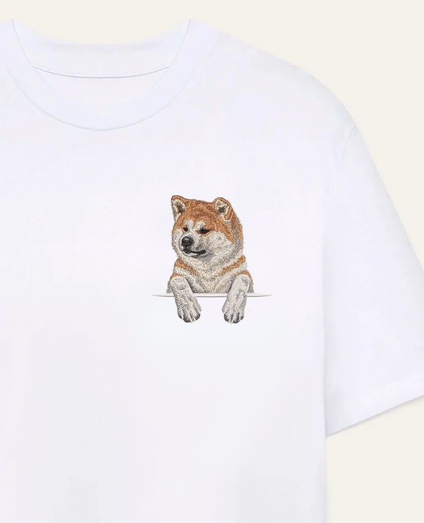 Akita