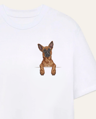 Owczarek belgijski malinois