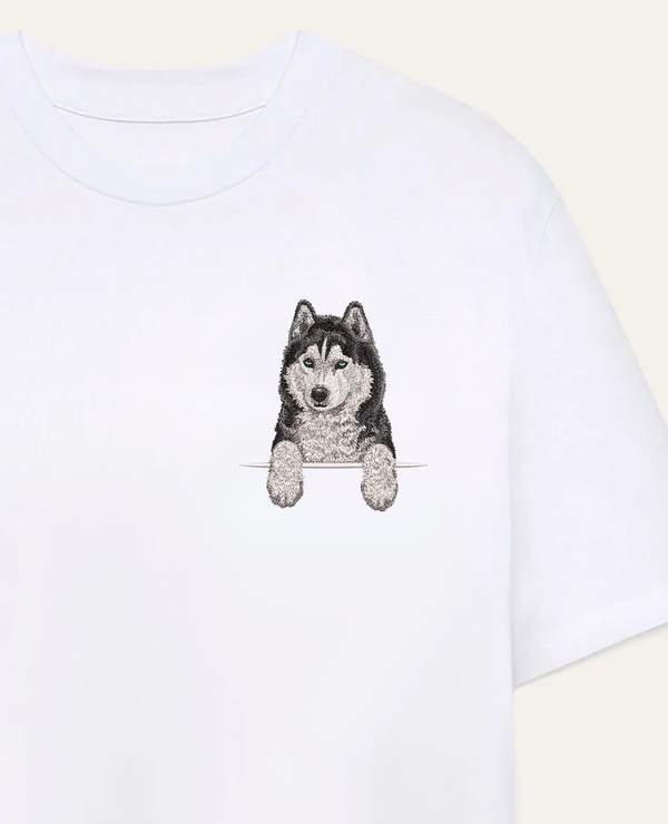 Husky syberyjski