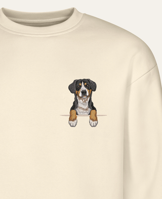 Entlebucher sennenhund