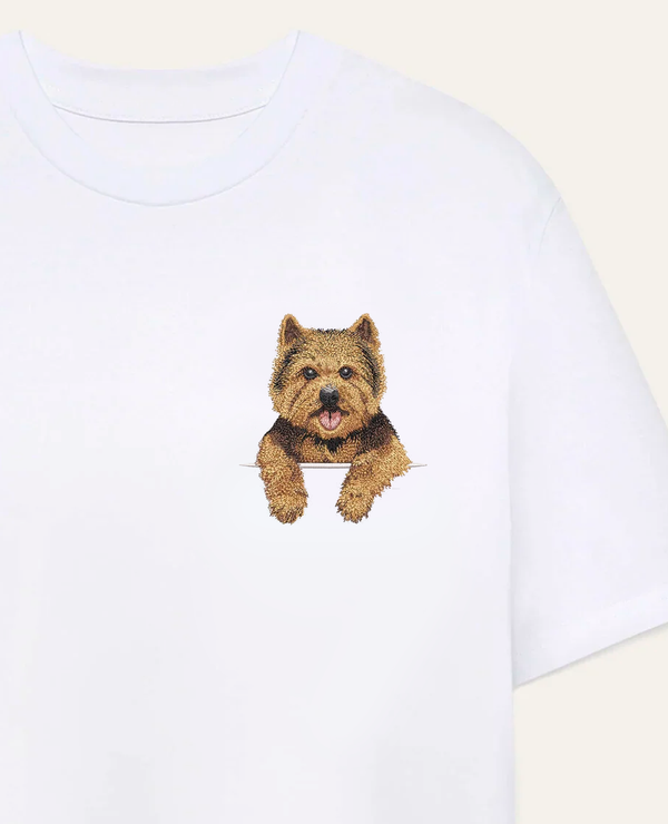 Norwich terrier