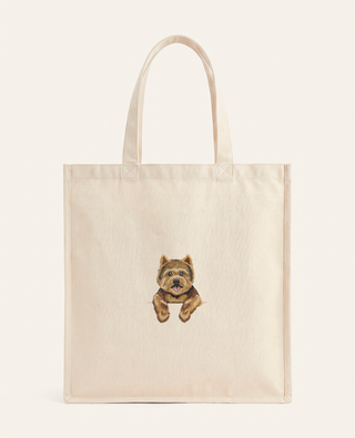 Norwich terrier