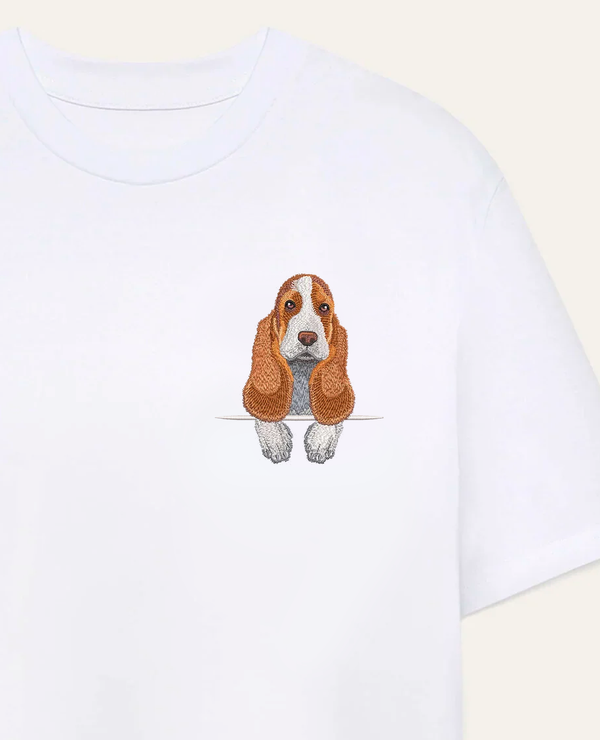 Basset hound