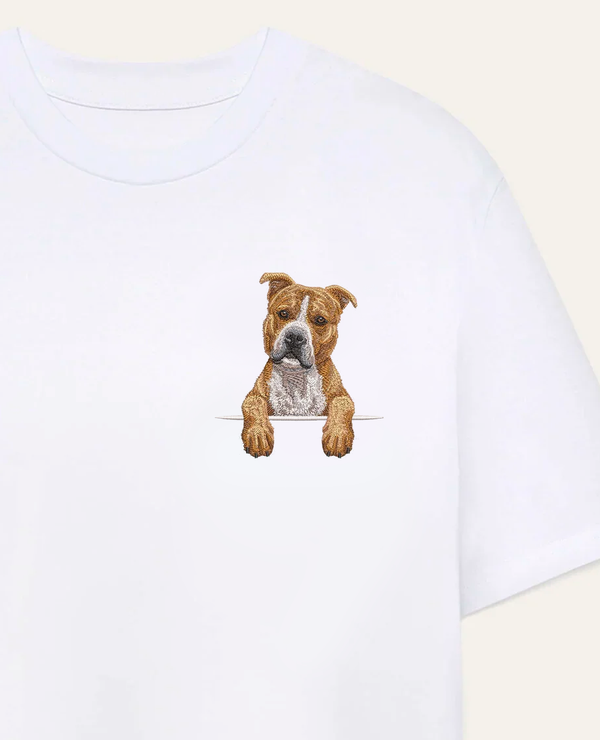 American Staffordshire terrier