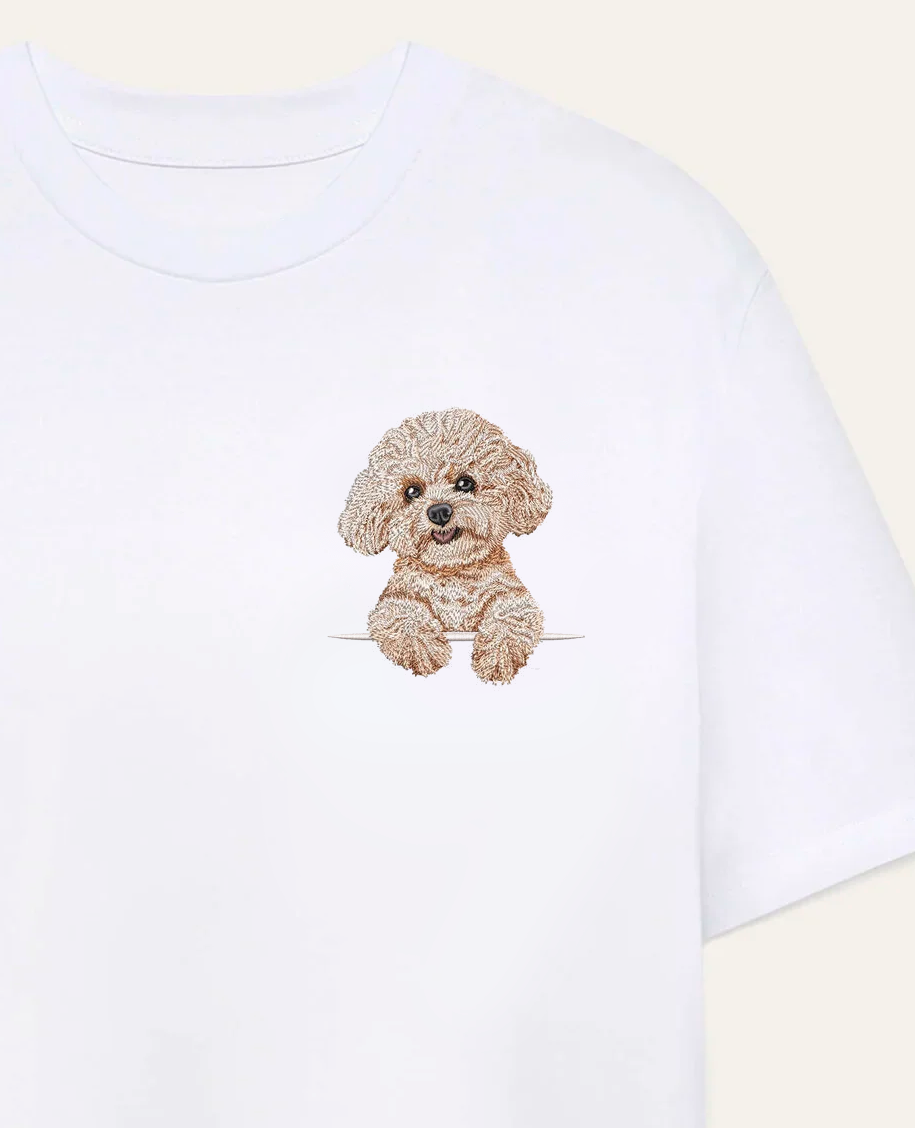 Bichon frisé (beżowy) – koszulka z haftem