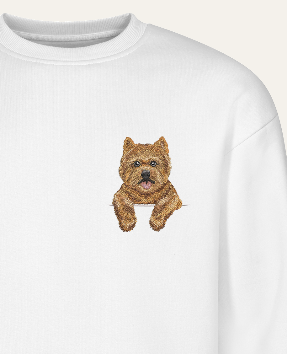 Norwich terrier (rudy) – bluza z haftem, biała (zbliżenie)