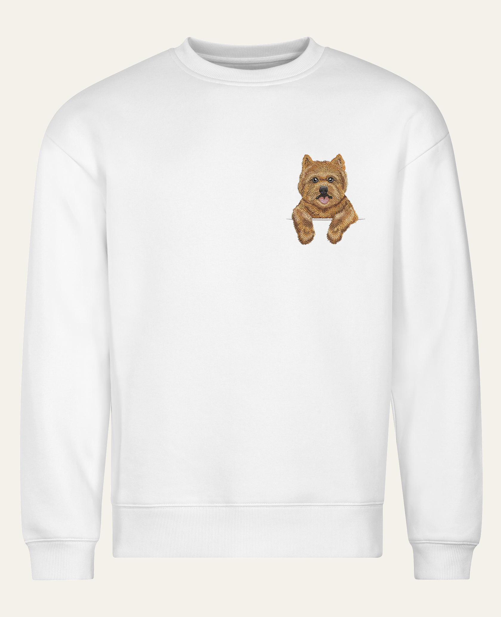 Norwich terrier (rudy) – bluza z haftem, biała (cała sylwetka)