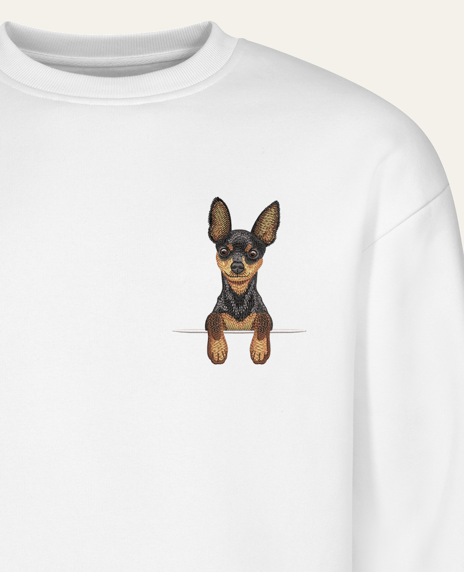 Toy terrier (czarno-podpalany) – bluza z haftem, biała (zbliżenie)