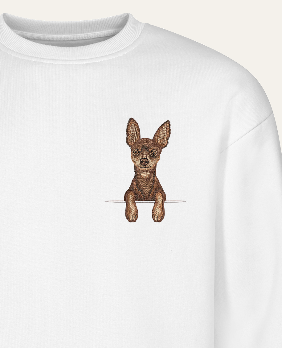 Toy terrier (brązowy) – bluza z haftem, biała (zbliżenie)