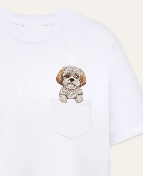 Shih tzu