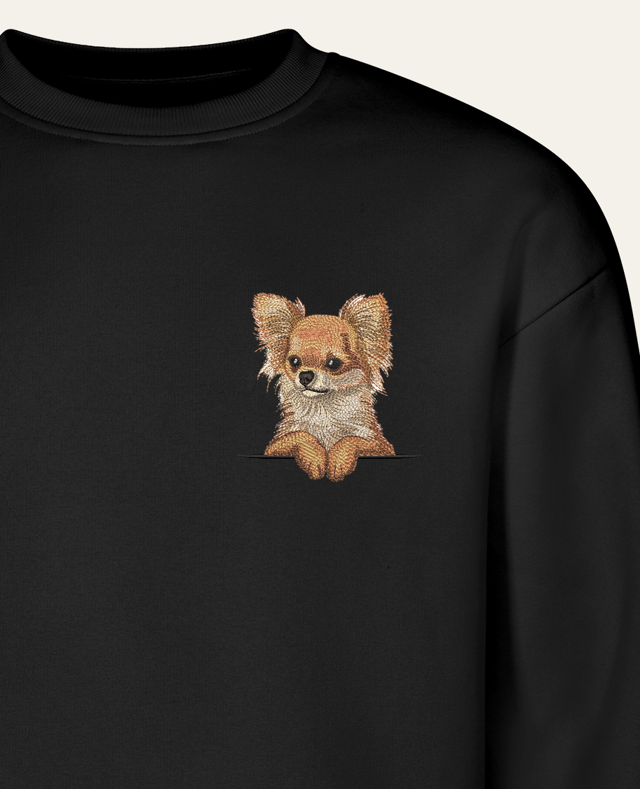 Chihuahua długowłosa (rudy) – bluza z haftem, czarna (zbliżenie)