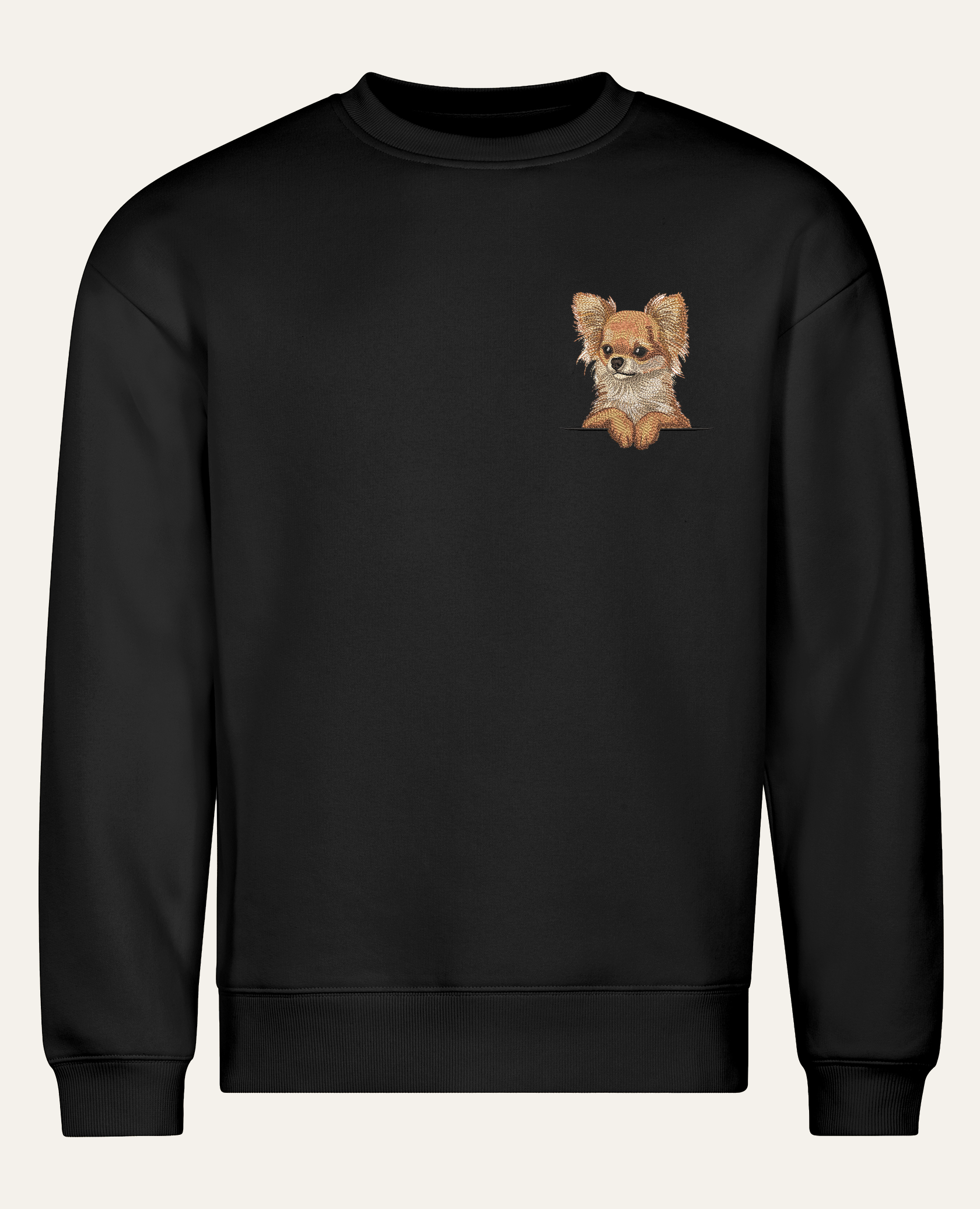 Chihuahua długowłosa (rudy) – bluza z haftem, czarna (cała sylwetka)