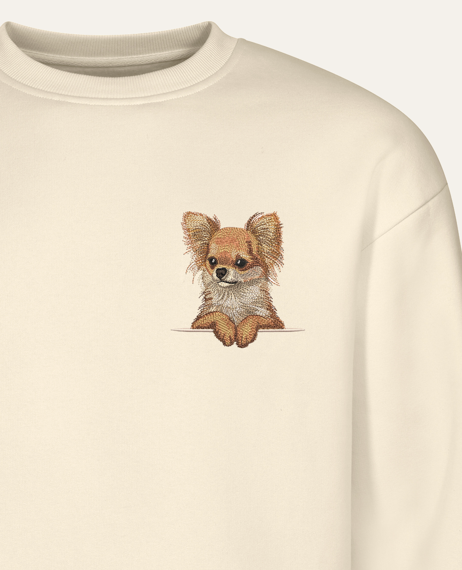 Chihuahua długowłosa (rudy) – bluza z haftem, piaskowa (zbliżenie)