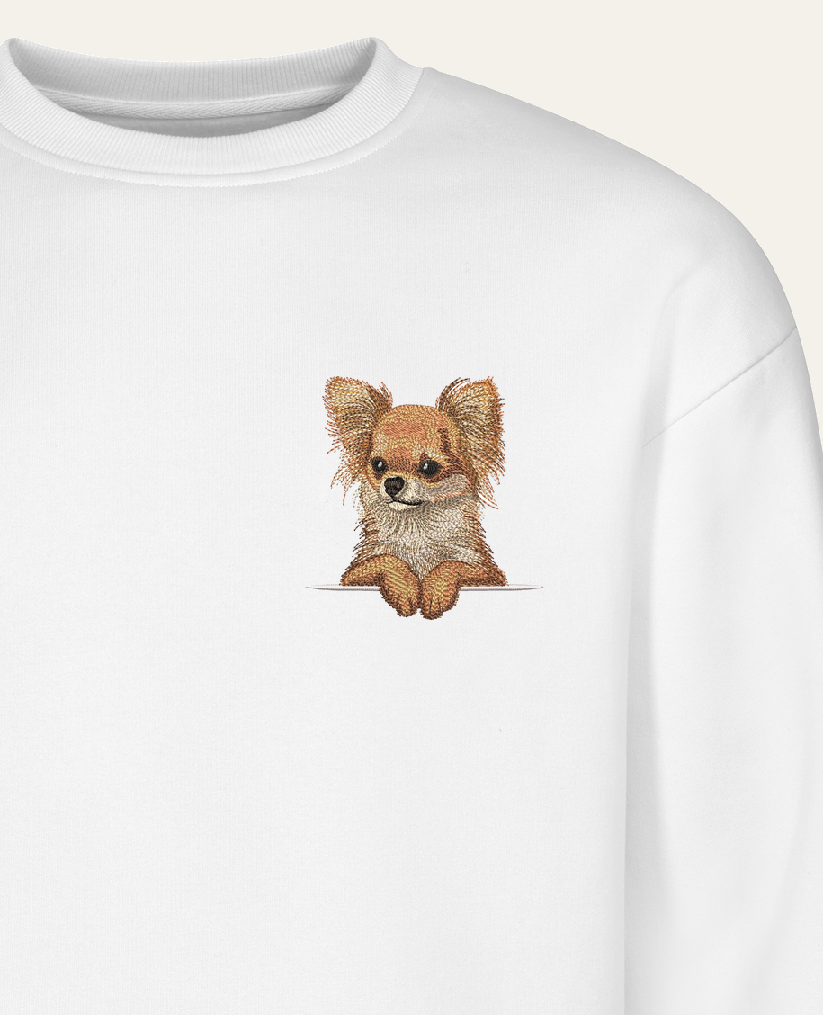 Chihuahua długowłosa (rudy) – bluza z haftem, biała (zbliżenie)