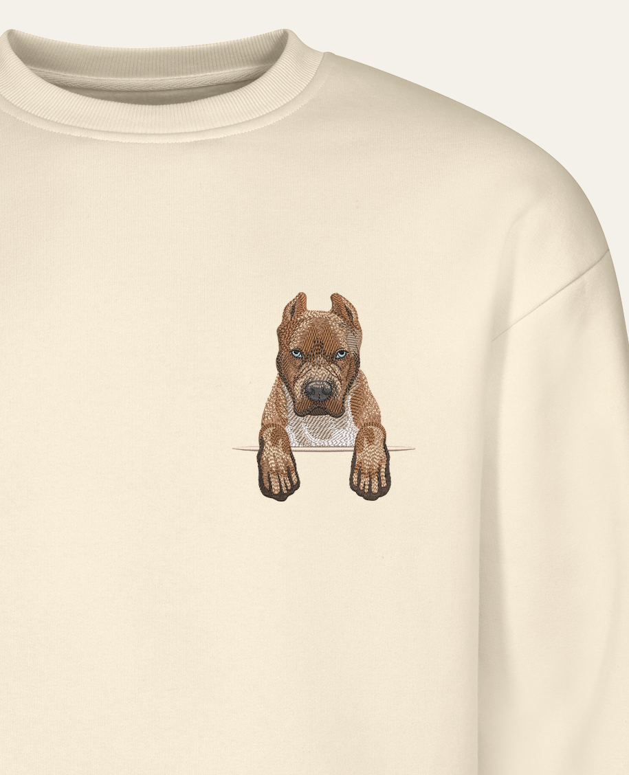 Pitbull (izabelowy) – bluza z haftem, piaskowa (zbliżenie)