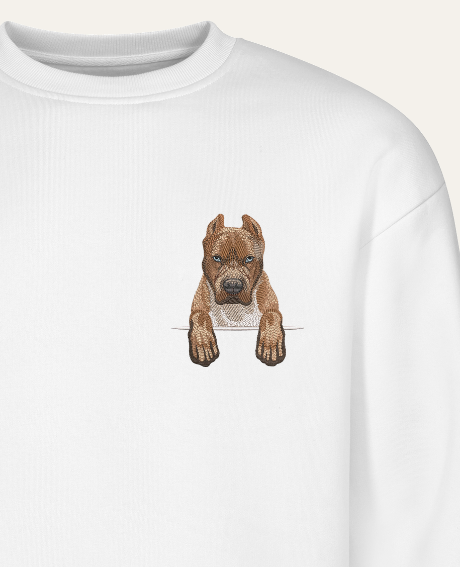 Pitbull (izabelowy) – bluza z haftem, biała (zbliżenie)