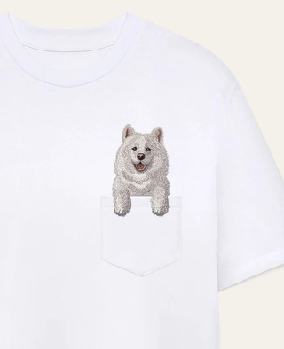 Samoyed