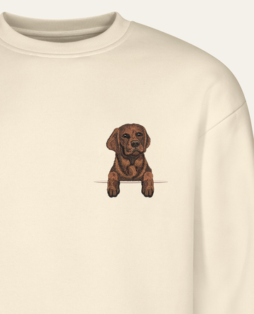 Labrador retriever (czekoladowy) – bluza z haftem, piaskowa (zbliżenie)