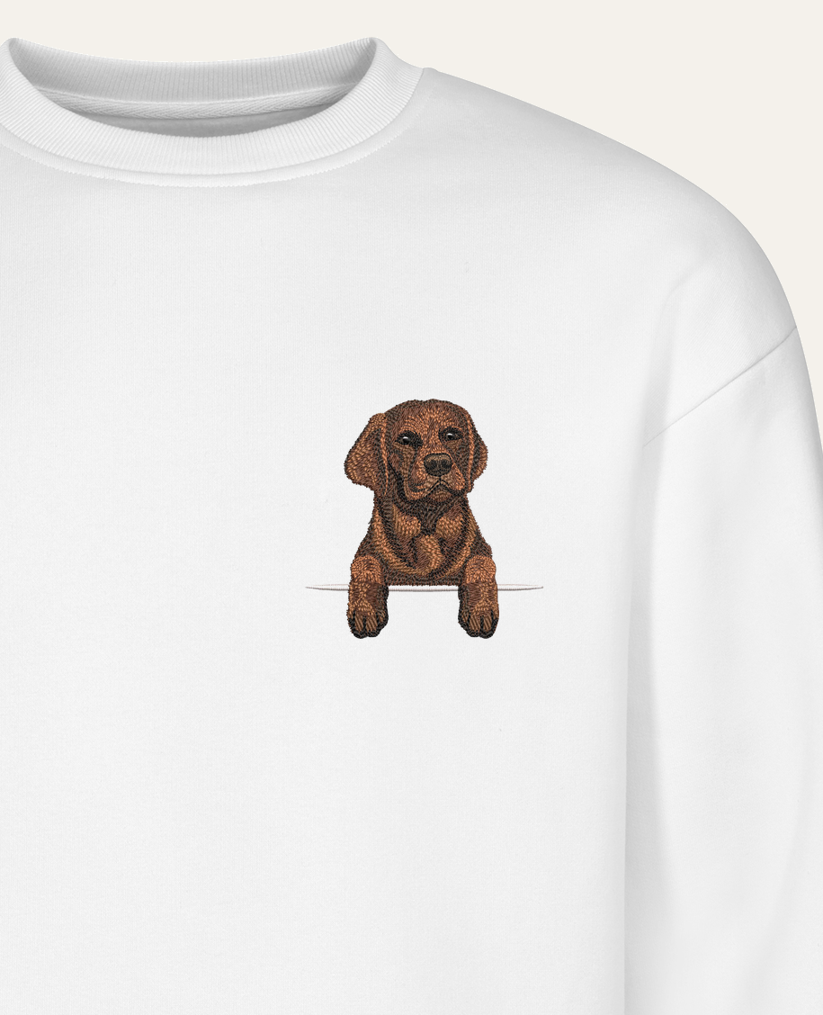 Labrador retriever (czekoladowy) – bluza z haftem, biała (zbliżenie)