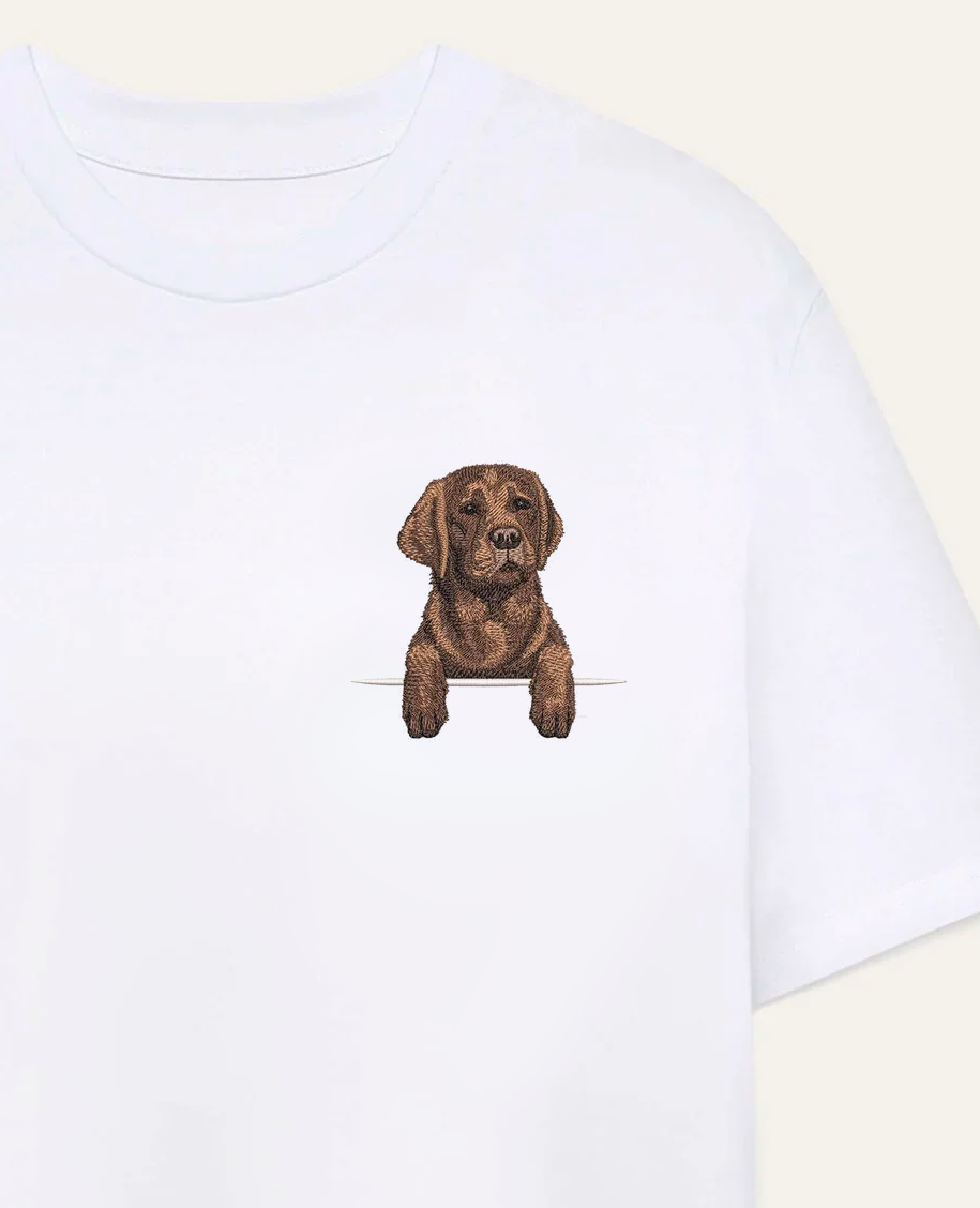 Labrador retriever (czekoladowy) – koszulka z haftem