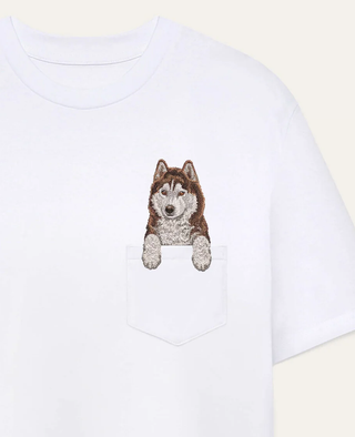 Husky syberyjski