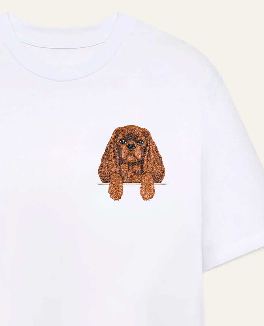 Cavalier King Charles Spaniel (ruby) – koszulka z haftem