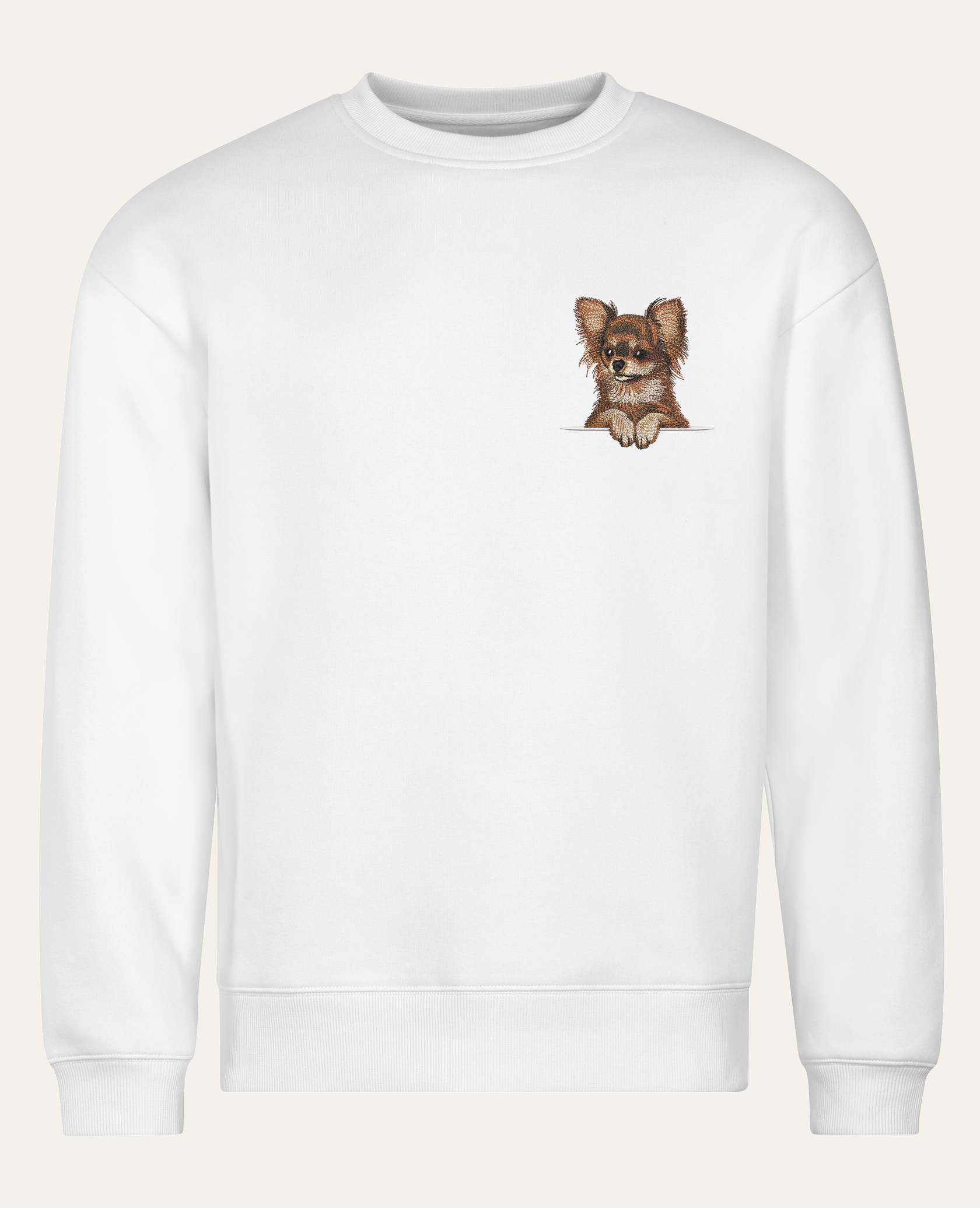 Chihuahua długowłosa (brązowy) – bluza z haftem, biała (cała sylwetka)