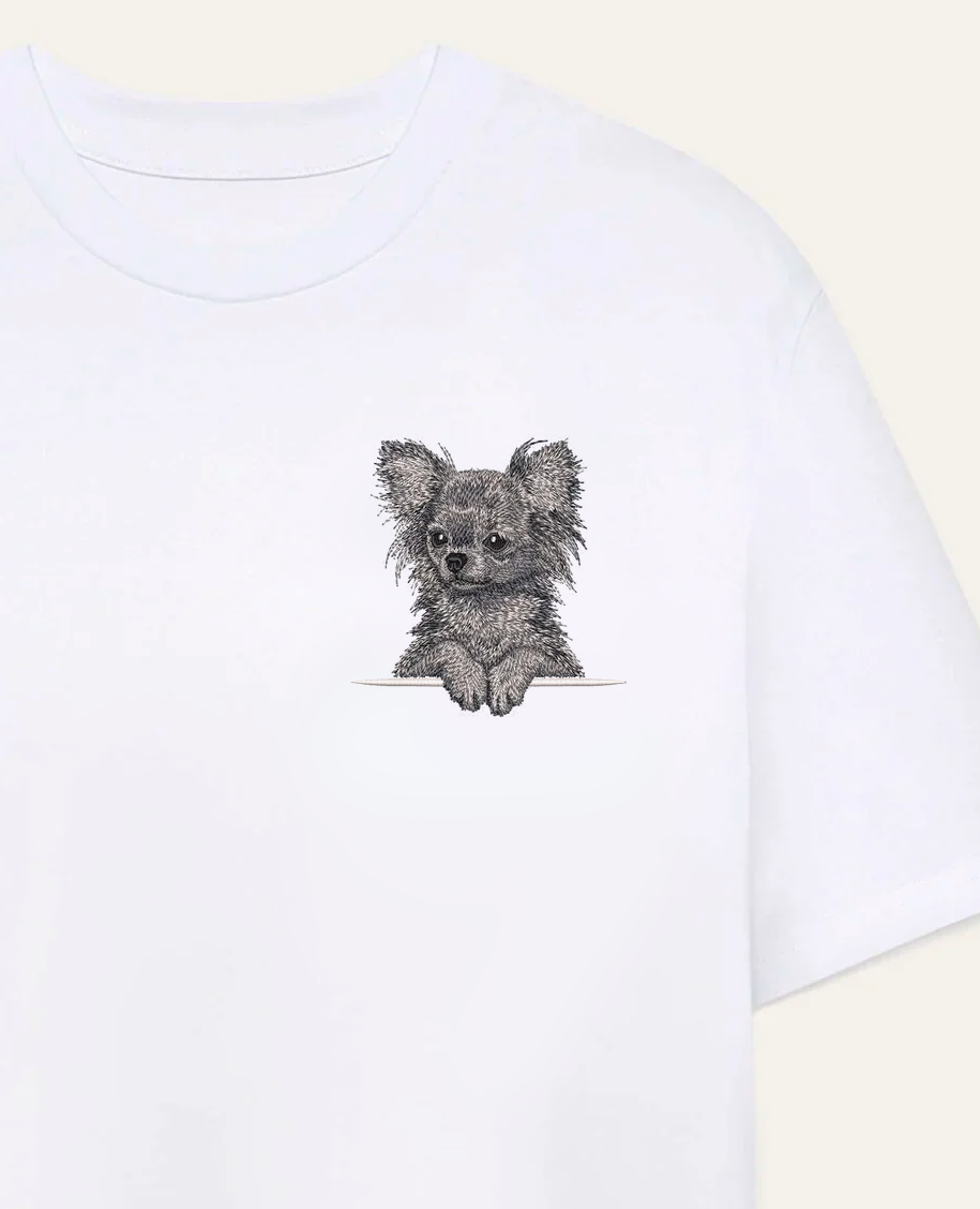 Chihuahua długowłosa (szary) – koszulka z haftem
