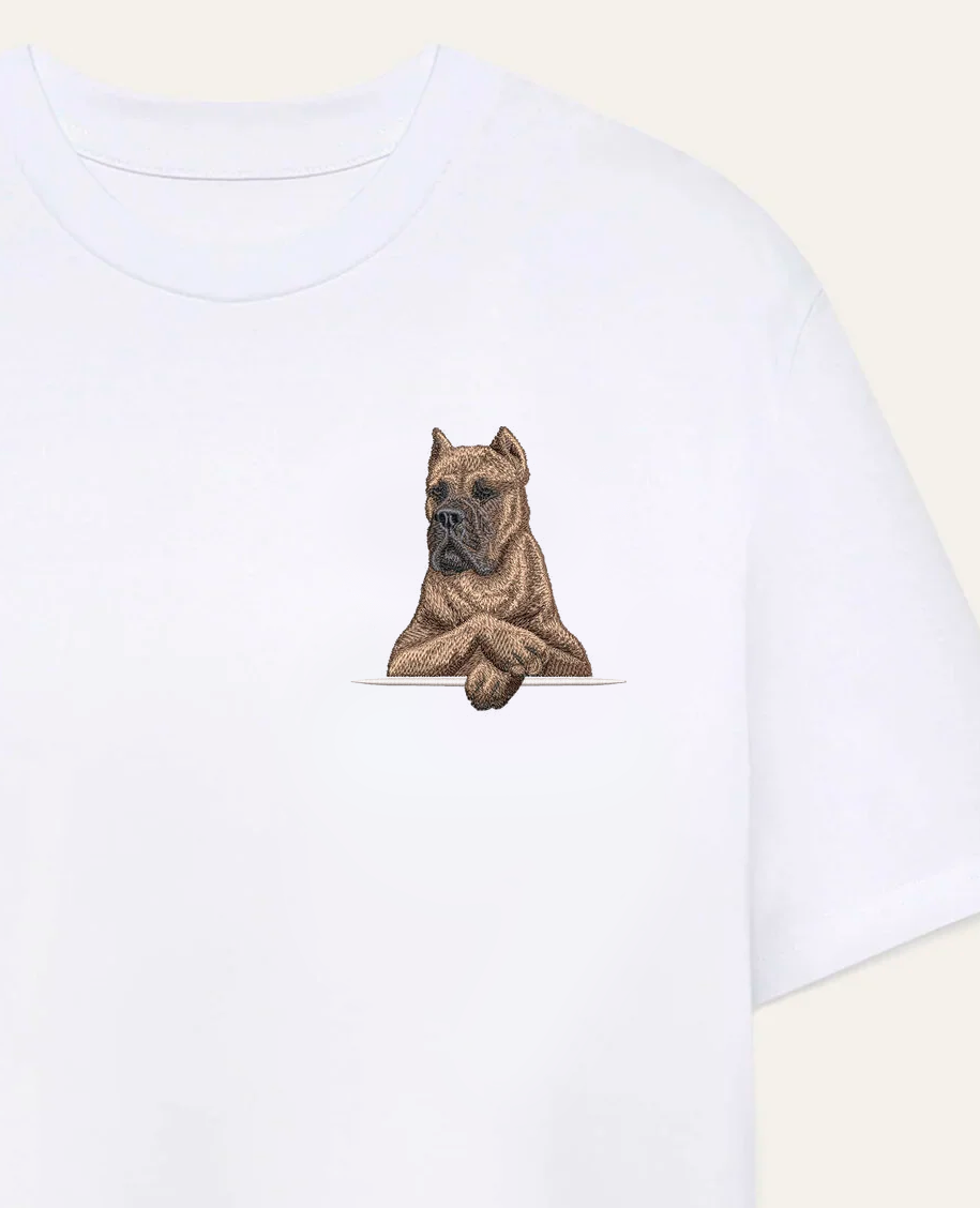 Cane Corso Italiano (brązowy) – koszulka z haftem