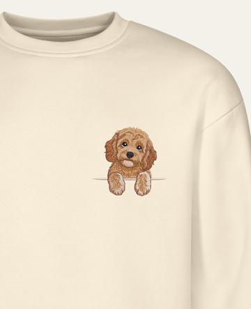 Cavapoo (morelowy) – bluza z haftem, piaskowa (zbliżenie)