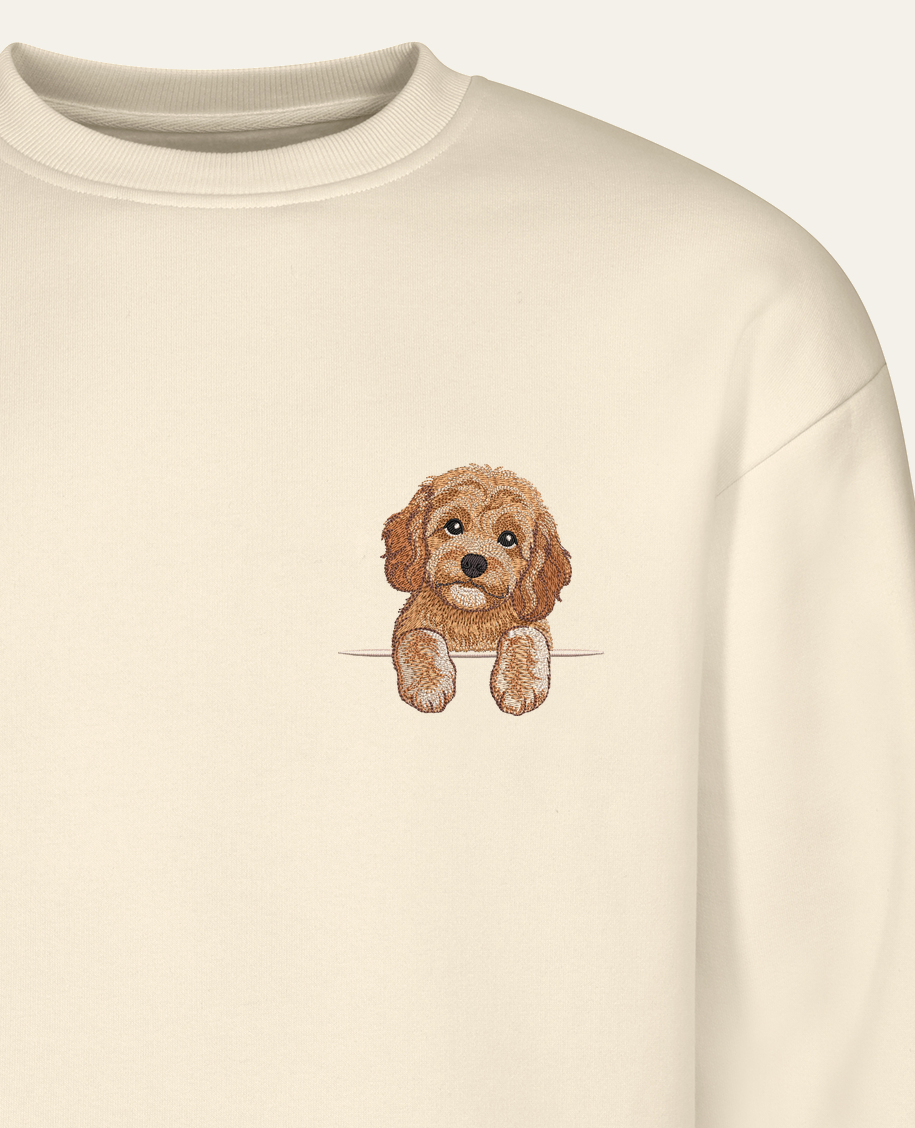 Cavapoo (morelowy) – bluza z haftem, piaskowa (zbliżenie)