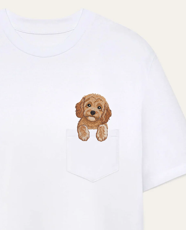 Cavapoo