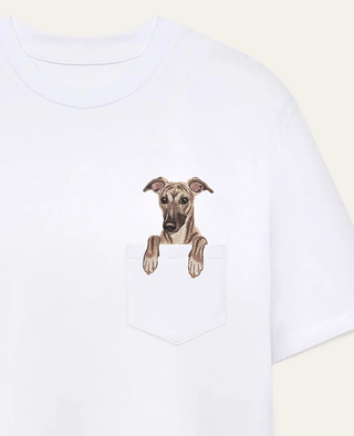 Whippet