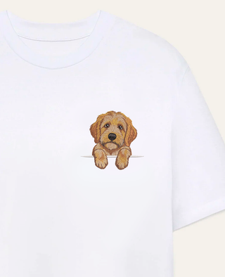 Goldendoodle