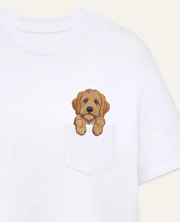 Goldendoodle