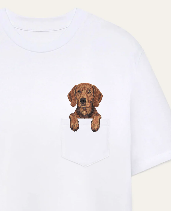 Gończy polski