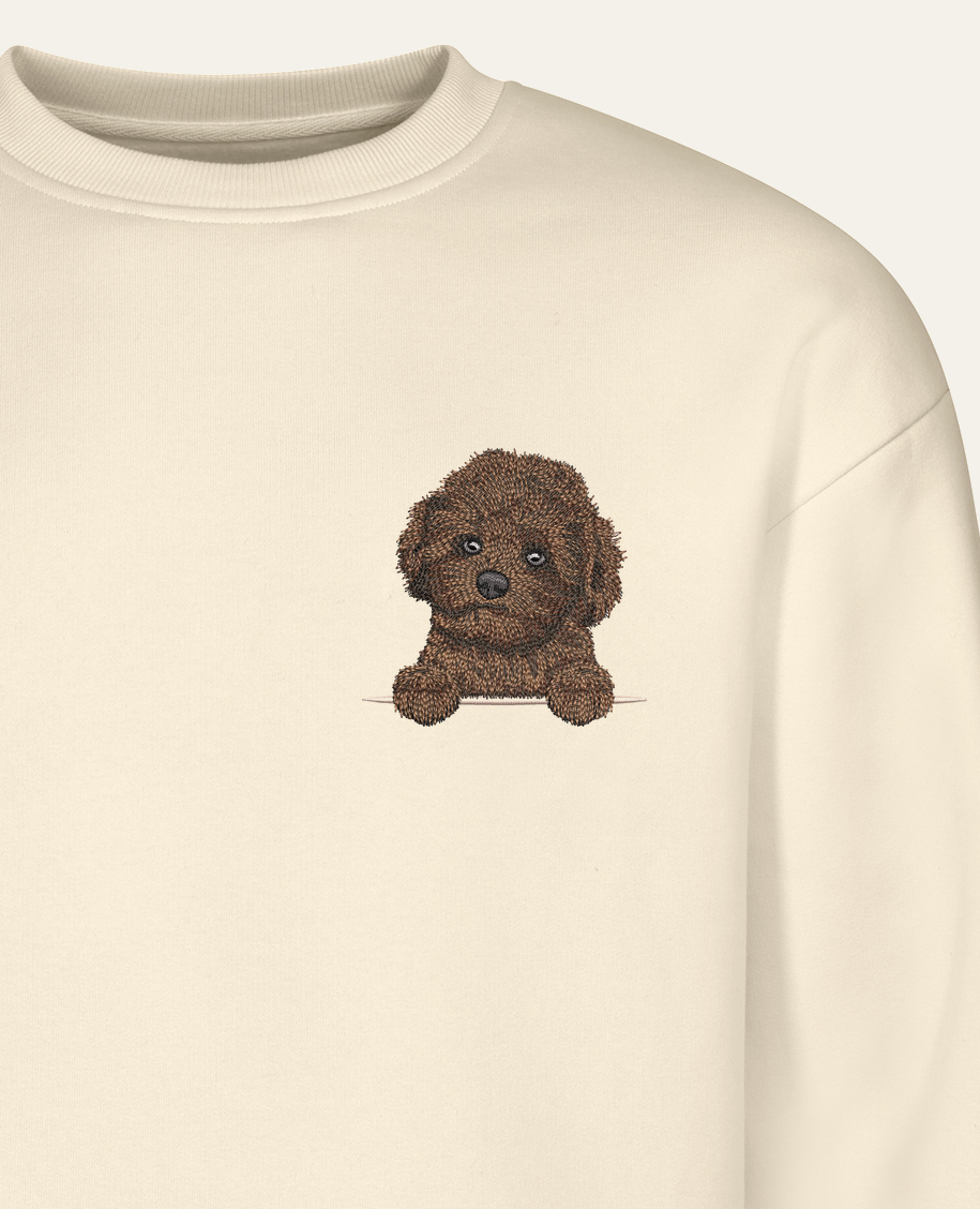 Maltipoo mini (czekoladowy) – bluza z haftem, piaskowa (zbliżenie)
