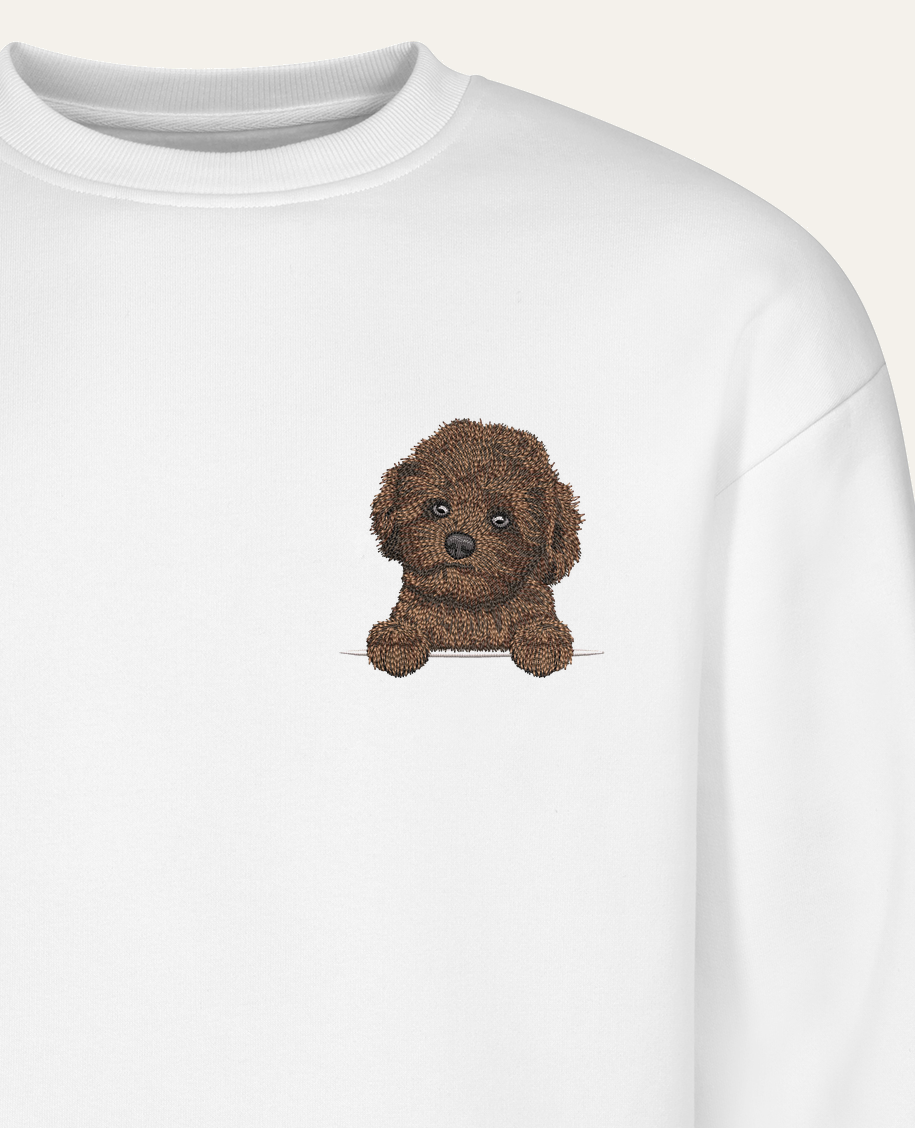 Maltipoo mini (czekoladowy) – bluza z haftem, biała (zbliżenie)