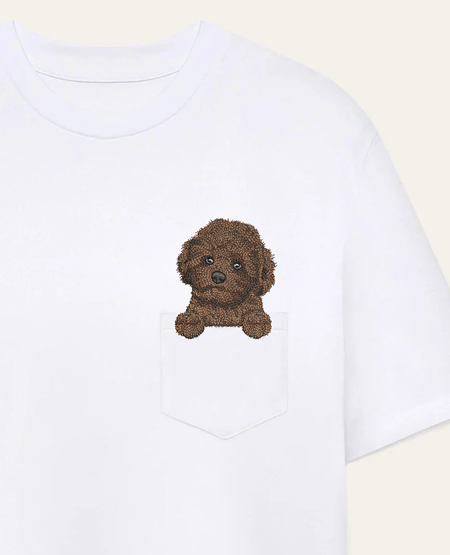 Maltipoo mini (czekoladowy) – koszulka z haftem – biała