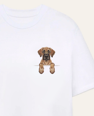 Dog niemiecki