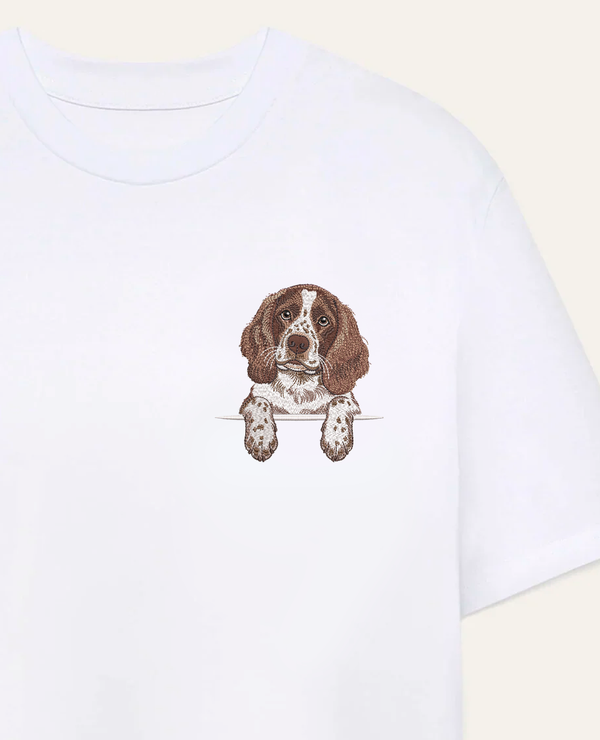 Springer spaniel angielski