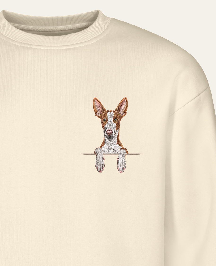 Podenco z Ibizy (rudo-biały) – bluza z haftem, piaskowa (zbliżenie)