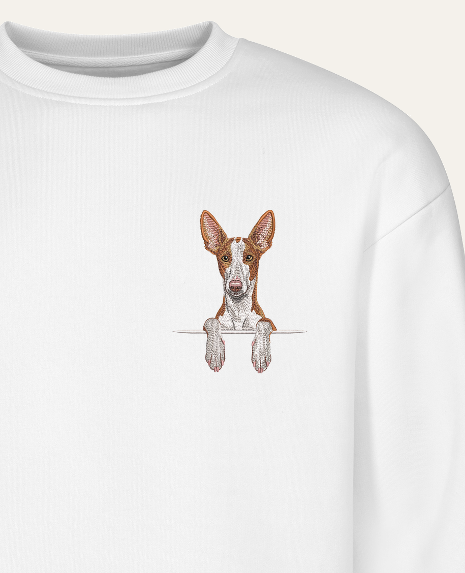 Podenco z Ibizy (rudo-biały) – bluza z haftem, biała (zbliżenie)