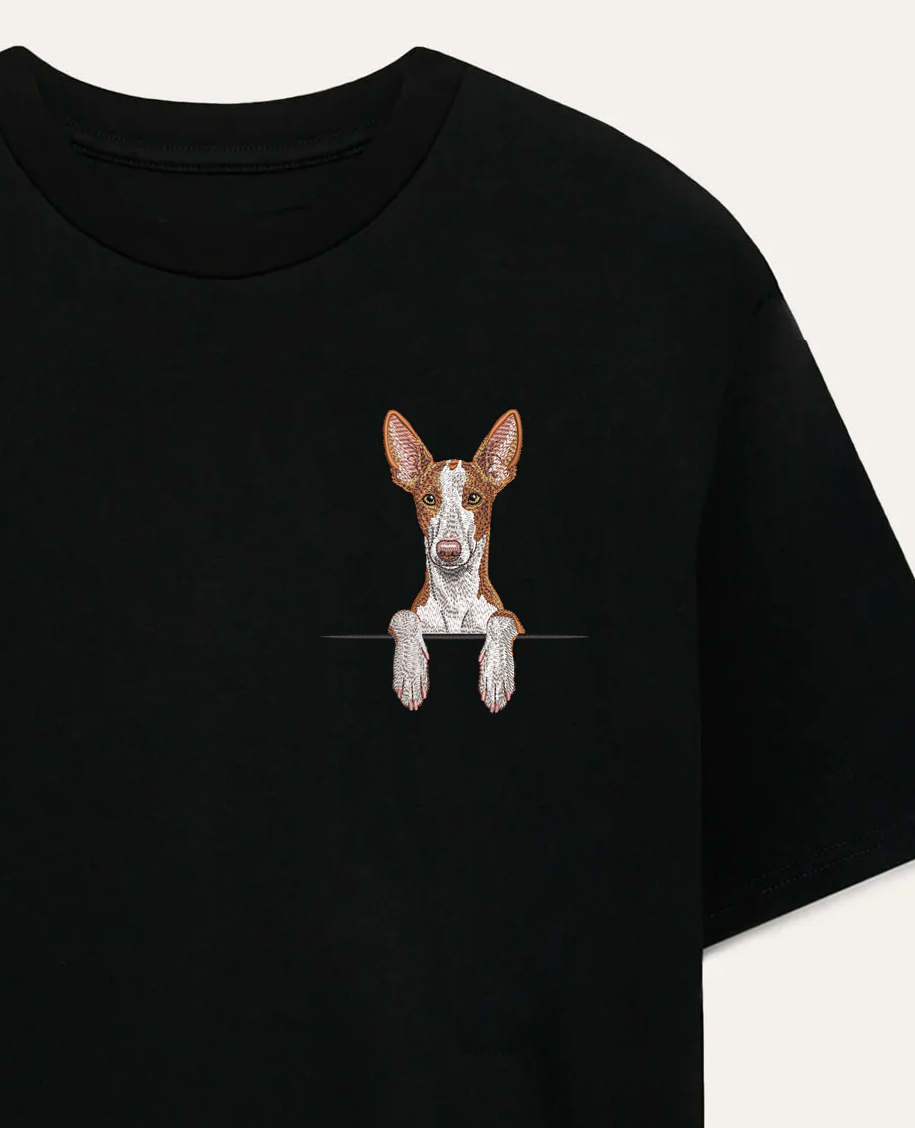 Podenco z Ibizy (rudo-biały) – koszulka z haftem