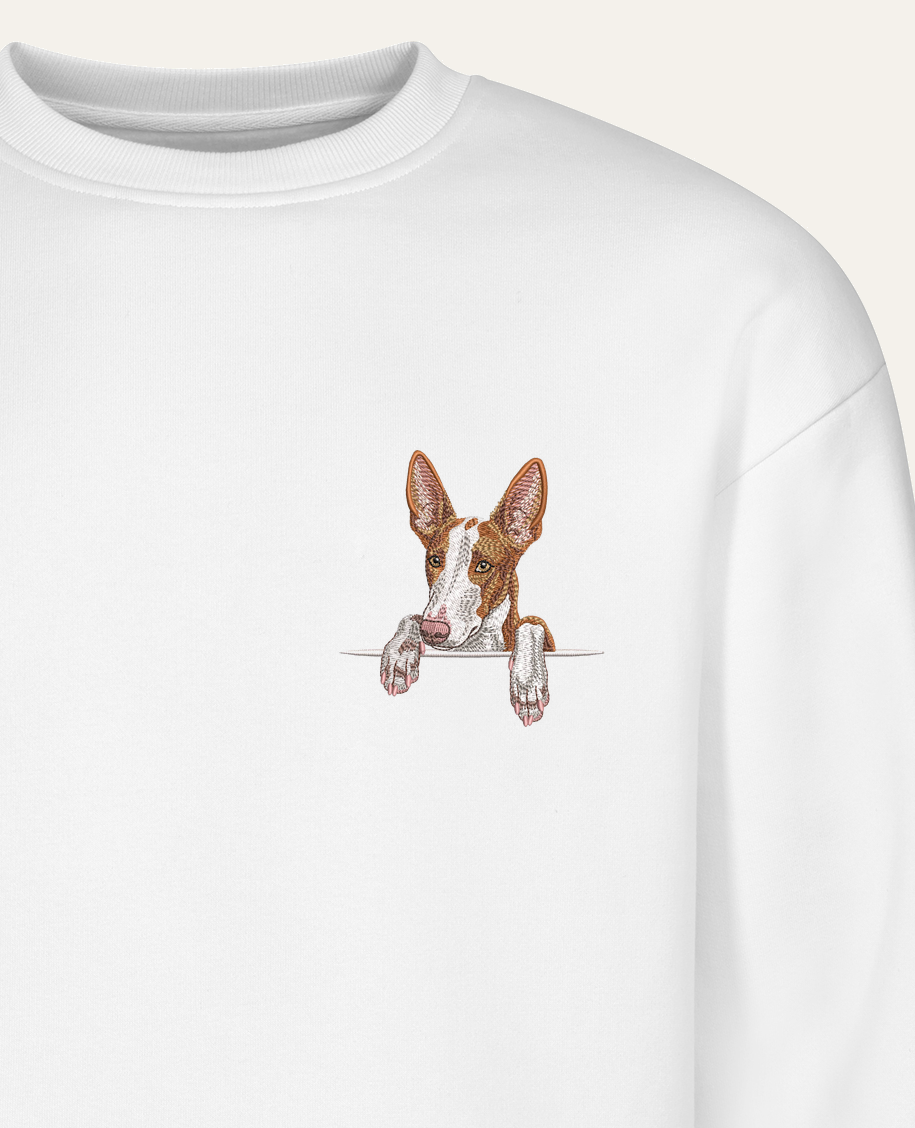 Podenco z Ibizy (rudo-biały) wzór 2 – bluza z haftem, biała (zbliżenie)