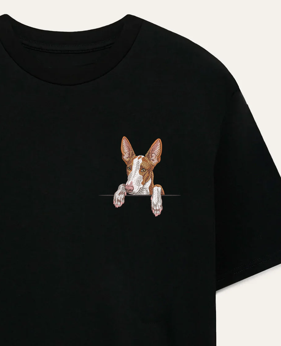 Podenco z Ibizy (rudo-biały) wzór 2 – koszulka z haftem