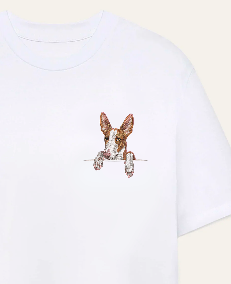 Podenco z Ibizy (rudo-biały) wzór 2 – koszulka z haftem
