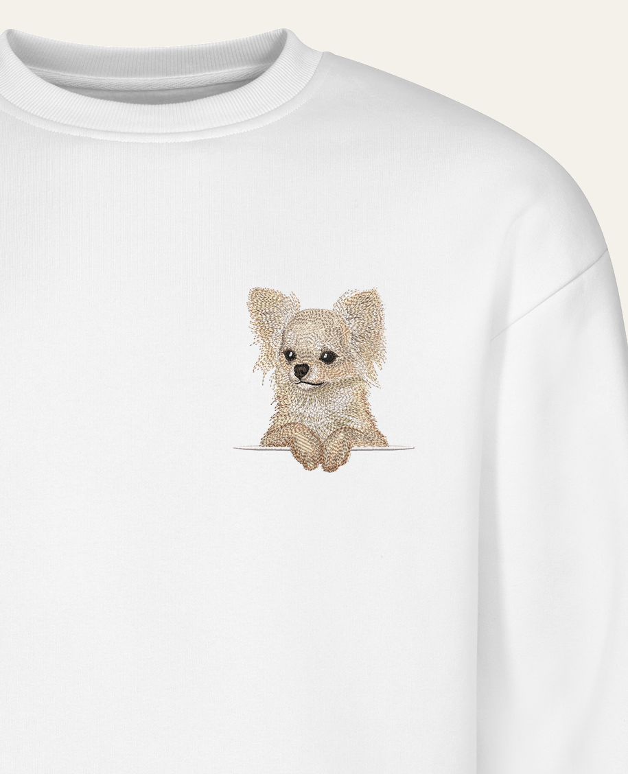 Chihuahua długowłosa (kremowy) – bluza z haftem, biała (zbliżenie)