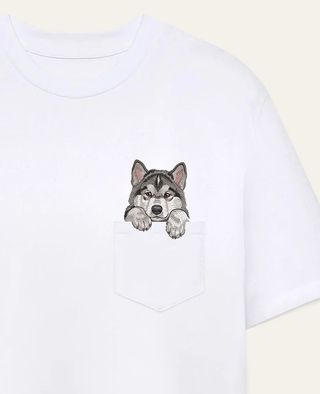 Alaskan malamute